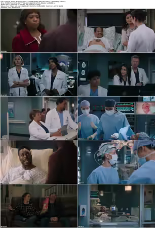 Greys Anatomy S22E12 1080p AMZN WEB-DL DDP 5 1 x265-BigLeaf