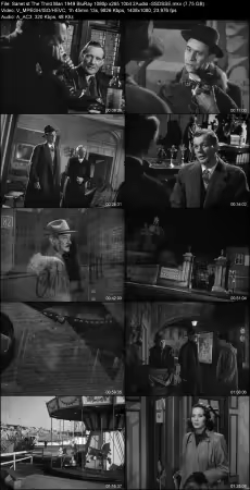 The Third Man 1949 BluRay 1080p x265 10bit 2Audio -SSDSSE