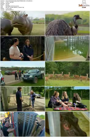 Animal Park S25 1080p iP WEB-DL AAC2.0 H264-AEK