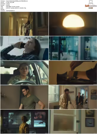 Vigil S01 S02 DVDRip x264-TABULARiA