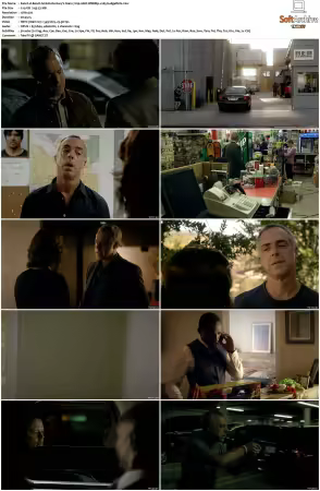 Bosch S01 S07 720p 10bit WEBRip x265-budgetbits