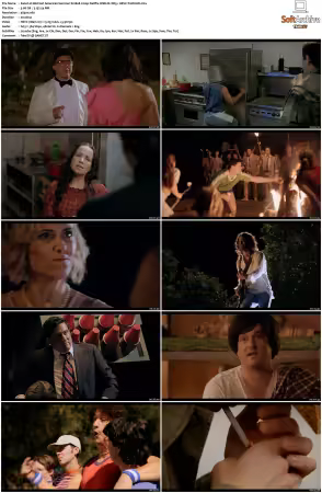 Wet Hot American Summer S01 2160p Netflix WEB-DL DD5.1 HEVC-TrollUHD