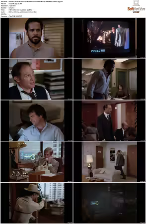 Simon and Simon S01-S08 1080p Blu-ray 10Bit DDP2.0 HEVC-d3g