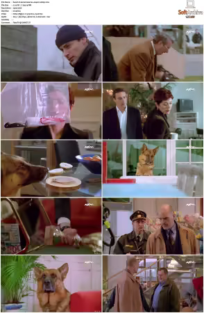 Kommissar Rex S01-S10 German 1080p HDTV x264-OMGtv