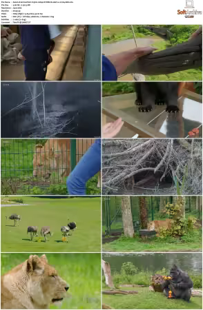Animal Park S25 1080p iP WEB-DL AAC2.0 H264-AEK