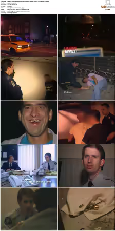 Under Arrest S01-S08 NF WEB-DL DDP2.0 x264-BTW