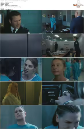 Wentworth S01-S09 1080p WEB h265-d3g