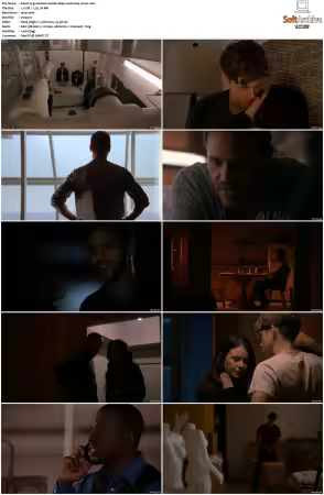 Graceland S01 S03 1080p WEB h264-NiXON