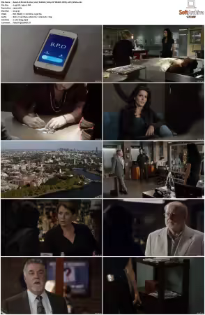 Rizzoli and Isles 2010 S01-S07 1080p NF WEB-DL DDP5.1 AV1-Vialle