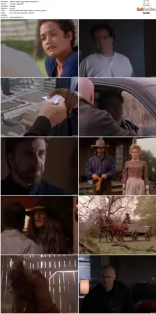 Walker Texas Ranger S01-S09 DVDRip XviD-Mixed