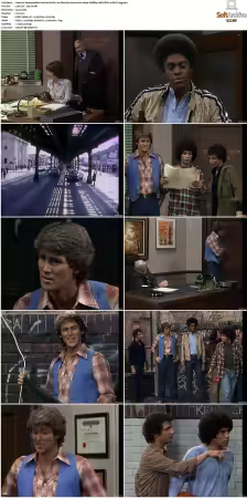Welcome Back Kotter S01-S04 1080p WEBRip 10Bit DDP2.0 HEVC-d3g