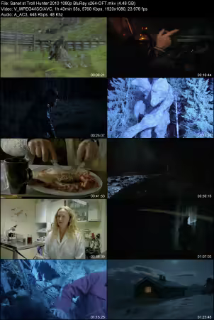 Troll Hunter 2010 1080p BluRay x264-OFT