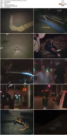 To Serve and Protect aka Under Arrest S01 S08 NF WEB-DL DDP2.0 x264-BTW