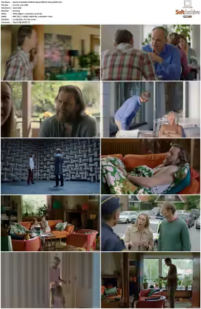 Solsidan S01-S09 1080p WEB-DL H264 x265-WoKE