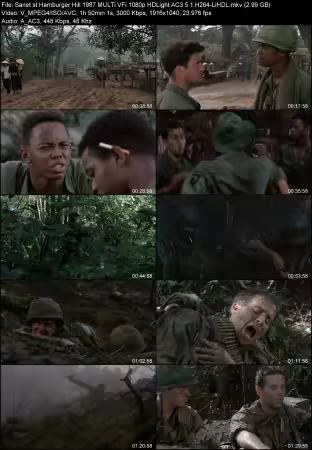 Hamburger Hill 1987 MULTi VFi 1080p HDLight AC3 5.1 H264-LiHDL