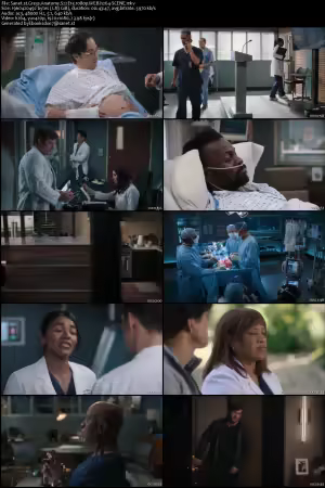 Greys Anatomy S22E13 1080p WEB h264-SCENE