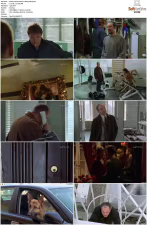 Kommissar Rex S01-S10 German 1080p HDTV x264-OMGtv