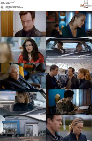 Vexed S01S02 1080p WEB x264-NGP