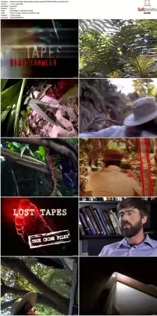 Lost Tapes S01 S03 1080p DSCP WEB-DL DDP2.0 H264-FFG