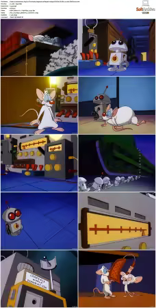 Animaniacs 1993 S01-S05 1080p UPSCALED DD 5.1 x265-EDGE2020