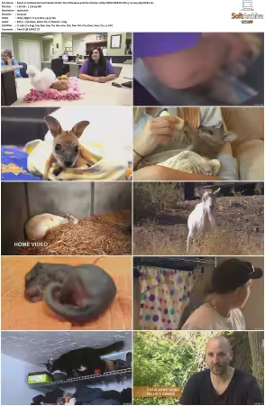 Unlikely Animal Friends S01 S03 1080p DSNP WEB-DL DD+5.1 H264-playWEB