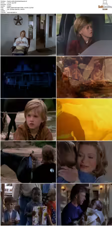 Walker Texas Ranger S01-S09 DVDRip XviD-Mixed