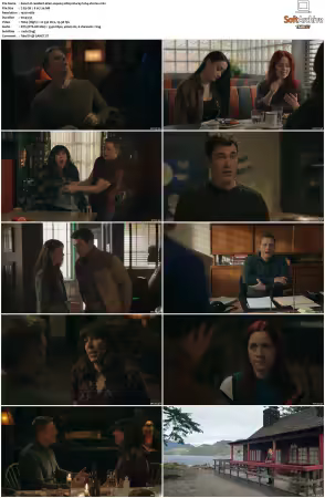 Resident Alien S04 1080p BluRay H264-STORiES