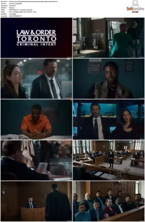 Law and Order Toronto Criminal Intent S02 1080p x265-ELiTE