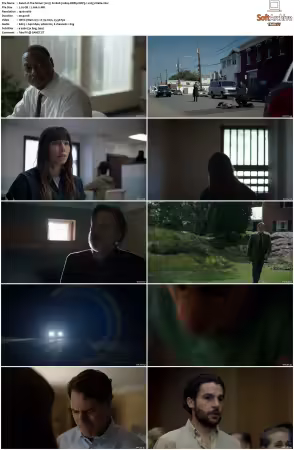 The Sinner 2017 S01 S04 1080p BDRip DDP5.1 x265-Vialle