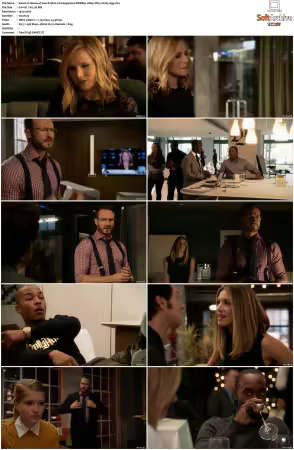 House of Lies S01 S05 WEBRip 1080p DD5.1 H265-d3g
