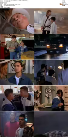 Walker Texas Ranger S01-S09 DVDRip XviD-Mixed