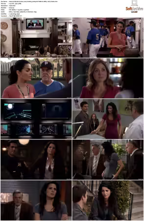 Rizzoli and Isles 2010 S01-S07 1080p NF WEB-DL DDP5.1 AV1-Vialle