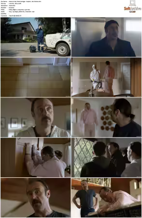 Der Tatortreiniger S01 S07 Complete German 1080p BluRay x264-Scene