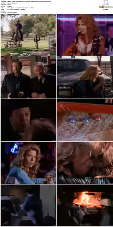 Walker Texas Ranger S01-S09 DVDRip XviD-Mixed