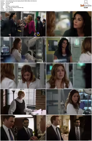 Rizzoli and Isles 2010 S01-S07 1080p NF WEB-DL DDP5.1 AV1-Vialle