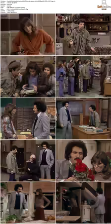 Welcome Back Kotter S01 S04 1080p WEBRip 10Bit DDP2.0 HEVC-d3g
