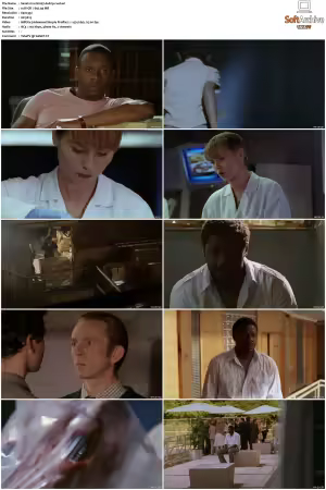Waking The Dead S01-S09 DVDRip XviD-Mixed