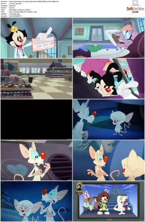 Animaniacs 2020 S01 S03 1080p HULU WEB-DL DDP5 1 H264-SNAKE
