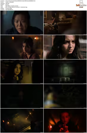The Last of Us S02 GERMAN DL 1080p WEB h264-SAUERKRAUT