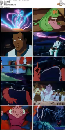 The Real Ghostbusters S01-S07 DVD REMUX-MIXED