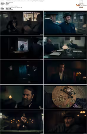 Warrior 2019 S01 S03 1080p WEBRip DDP5.1 H265-d3g