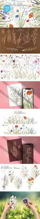 Watercolor Wildflower Clipart