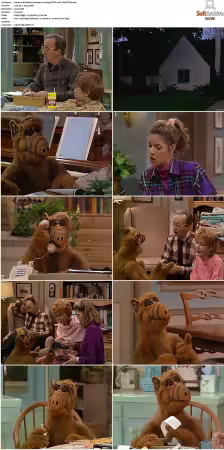 Alf S01 German DL 1080p MiXED x264-TVNATiON