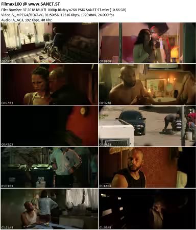 Number 37 2018 MULTi 1080p BluRay x264-PSiG