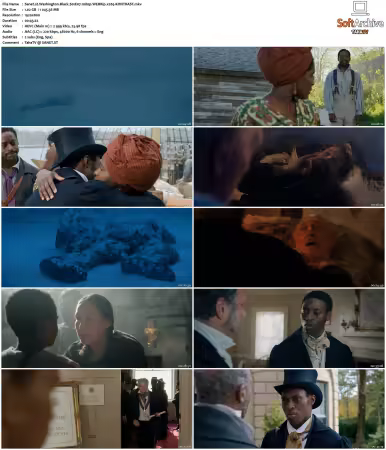 Washington Black S01 1080p WEBRip x265-KONTRAST