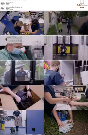 Wildlife ER S01S02 1080p WEB h264-BETTY