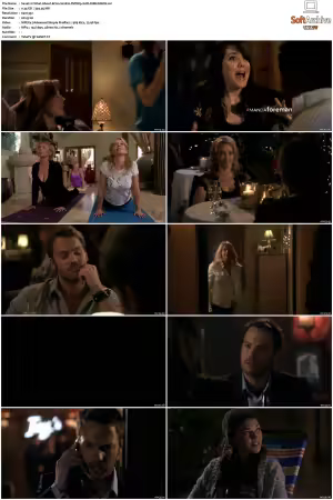 What About Brian S01 S02 DVDRip XviD-DIMENSION