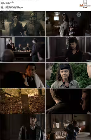 Un Village Francais S01 S07 1080p WEB-DL DD2.0 H264-SbR