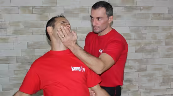 WingTsun Technician Level 2