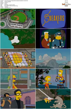 The Simpsons S19 1080p Web-DL x264-OFT